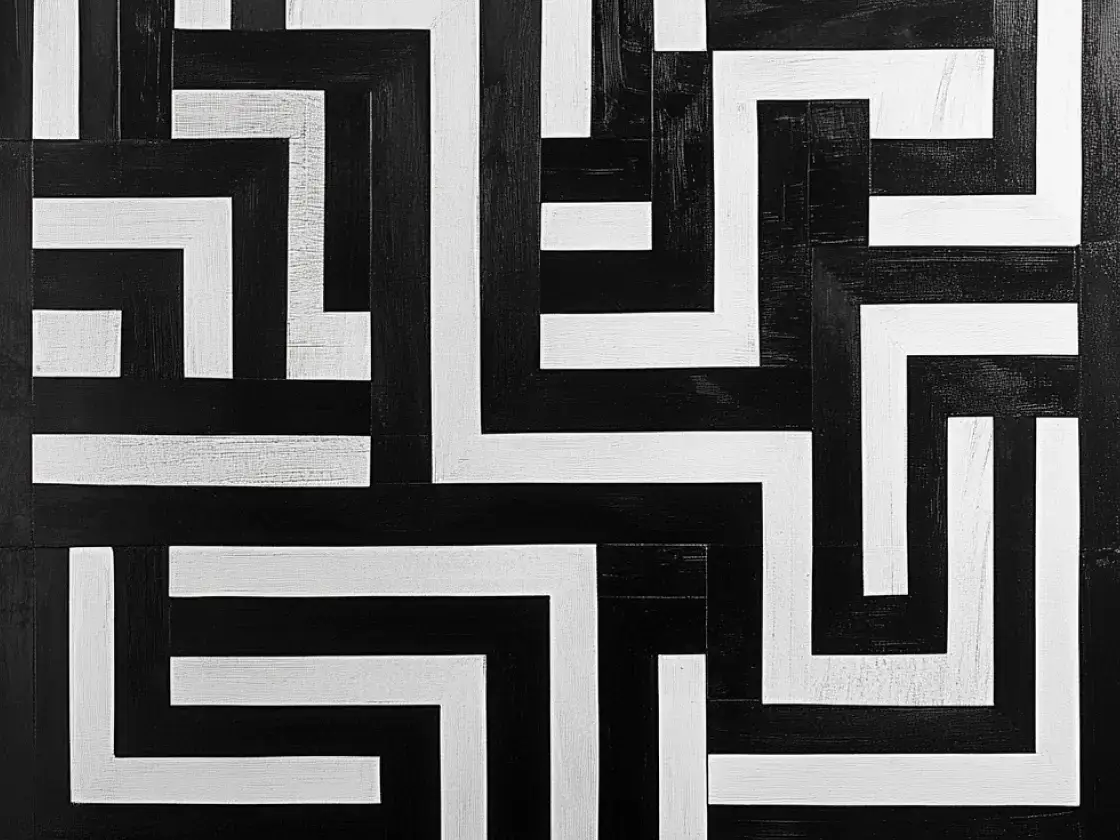 Black and white maze of lines